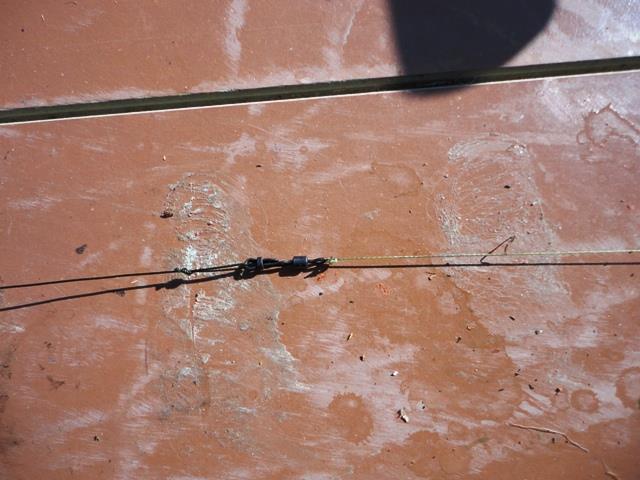 delta rosu 2011 - dsc00876.JPG